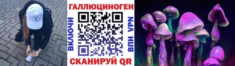 как найти Новопавловск KRAKEN ONION Галлюциногенные грибы Cubensis